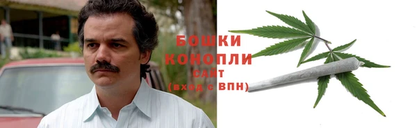 трава Белокуриха