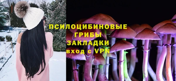 трава Белокуриха