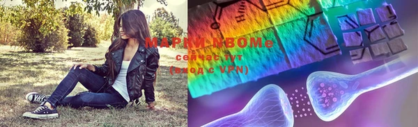 трава Белокуриха