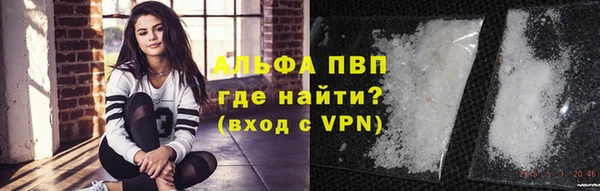 трава Белокуриха